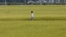 서울독립영화제2009 수상작 - 경북 문경으로 시작되는 짧은 주소