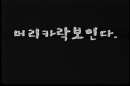 4회 서울국제청소년영화제 수상작_머리카락보인다