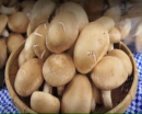 2012 지역영상미디어센터 연합 워크숍 수상작모음_ 맛있게 먹겠습니다.