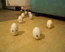 한국독립애니메이션 COLLECTION1. : Egg Egg