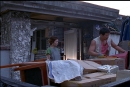 KAFA 2003 Short Films Collection : 저멀리 여름숲은