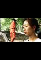 2002한국예술종합학교 개교 10주년 영상작품모음: 남산에 오르다