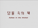 이성강: 덤불 속의 재