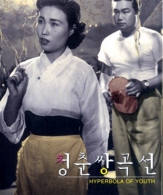 청춘쌍곡선