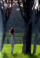 전주국제영화제 디지털 삼인삼색 2004 - 경심