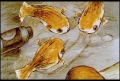 KAFA 2006 영화아카데미 Collection_아스팔트 연못