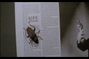 KAFA 2003 Short Films Collection : The Newspaper