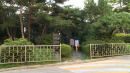 여름을 걷는 시간