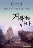 거북이도 난다