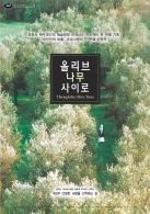 올리브 나무 사이로