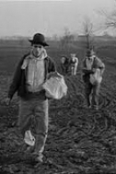 D.W.그리피스 걸작선 단편 전기1 – Corner in Wheat