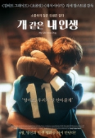 개 같은 내인생